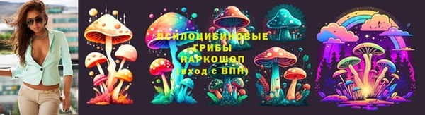 spice Карпинск
