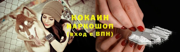 молекула духа Каменногорск