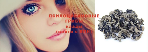 spice Карпинск