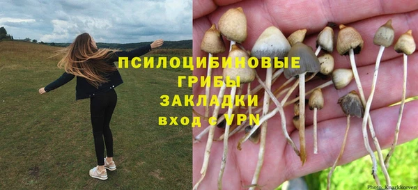 метадон Касимов